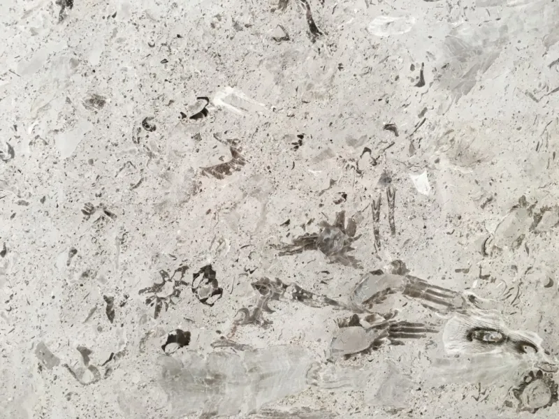 Model S002 — Jednostruki spomenici